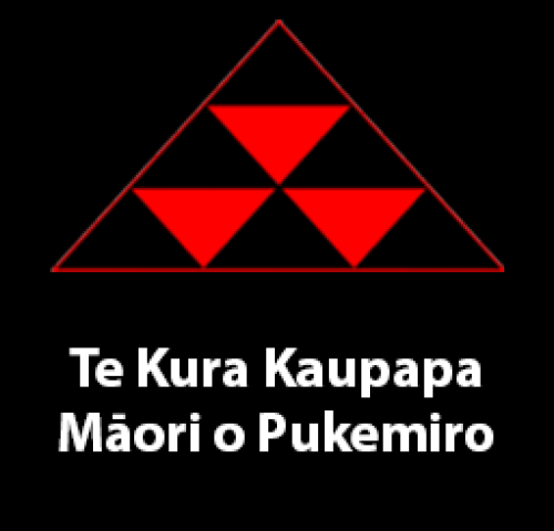 Te Kura Kaupapa Māori o Pukemiro