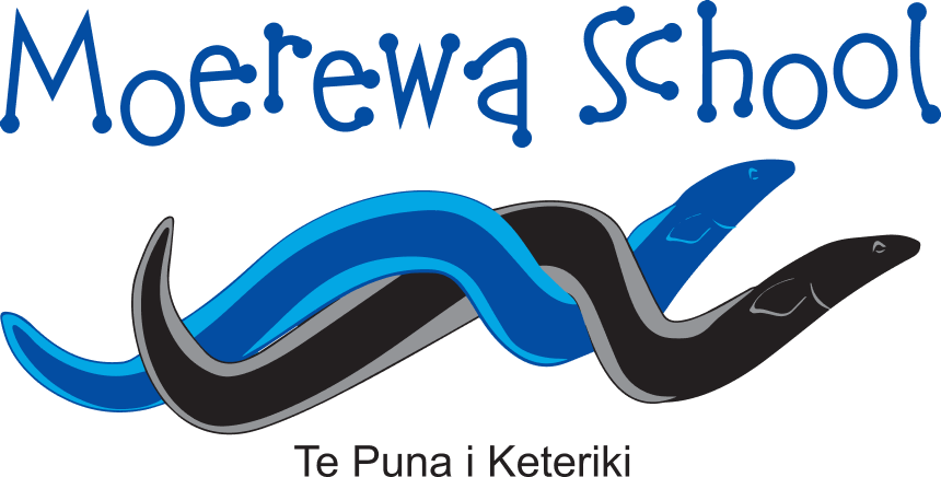 Moerewa School